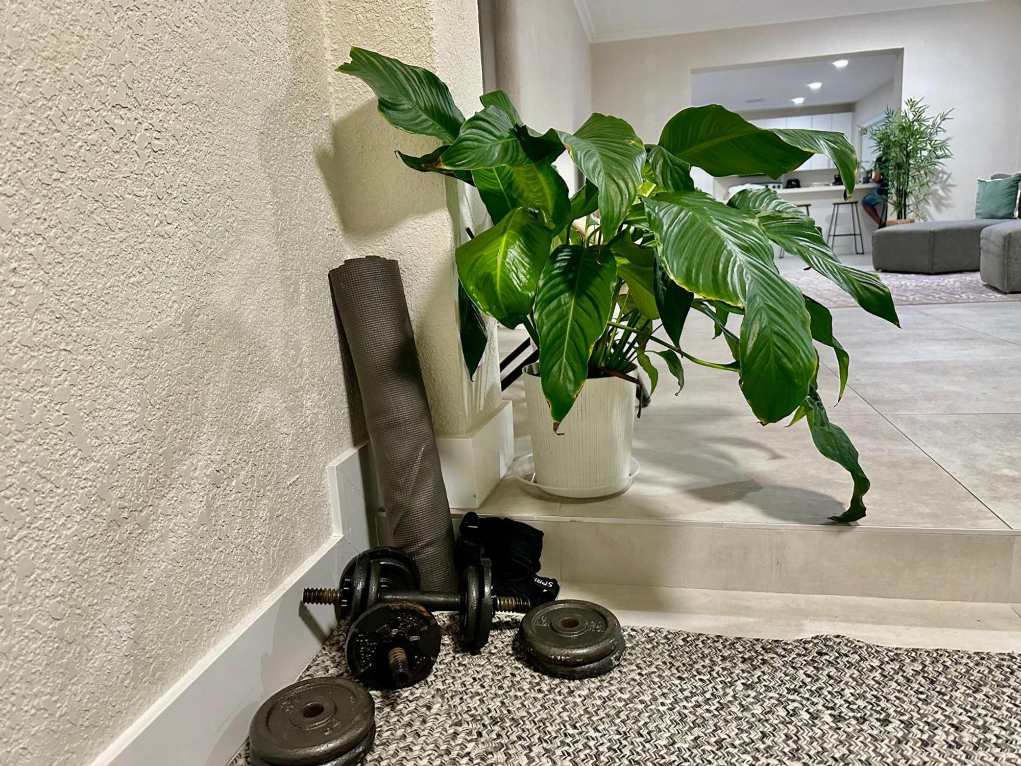 Hostel World Connect Miami Zewnętrze zdjęcie